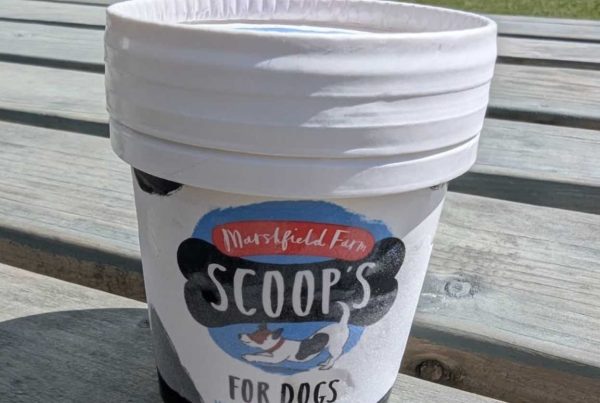 ice cream for dogs